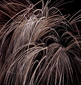 WEB KITCHEL DORMANTGRASS4 30X30