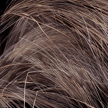 WEB KITCHEL DORMANTGRASS5 30X30