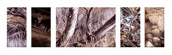 WEB KITCHEL HIDEANDSEEK 20X68