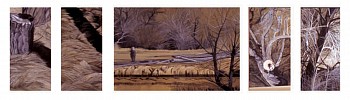 WEB KITCHEL QUAGMIRE 20X68