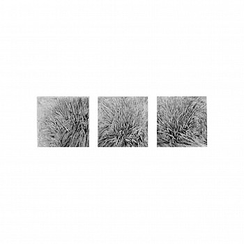 WEB TRIPLE 30X30
