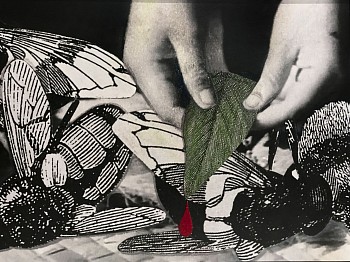 steers edgeofalchemy 20x30