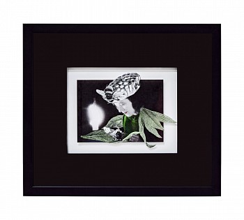 STEERS EdgeOfAlchemy Framed