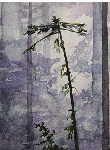 CLAIRE SHERMAN, TREE
mixed media on paper