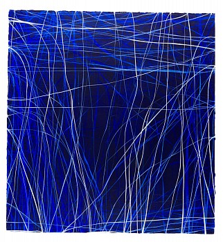 wiersma erin examen 3 13 2016 2017 acrylic on paper 33in x31in