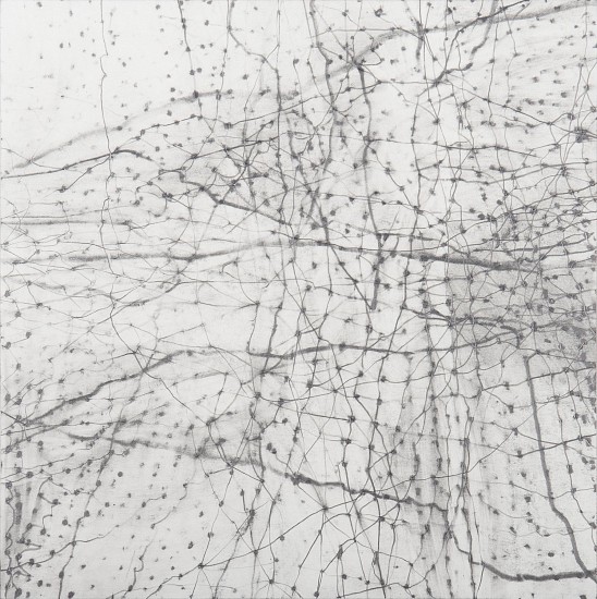 ERIN WIERSMA, GROUNDS, 7/10/2015
Graphite on Paper