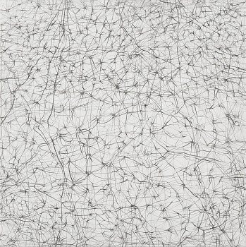wiersma 12x12 limestone 5 20 2014 web