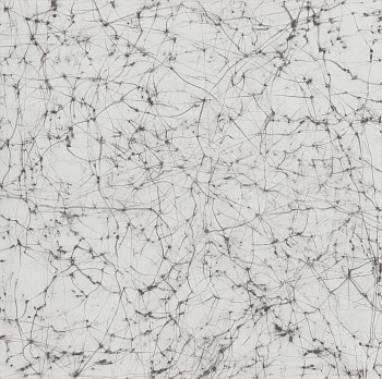 wiersma 12x12 limestone 5 19 2014 web