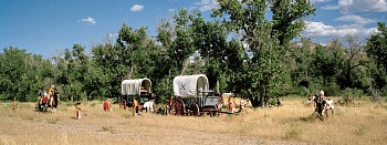 plattebridefightfinale