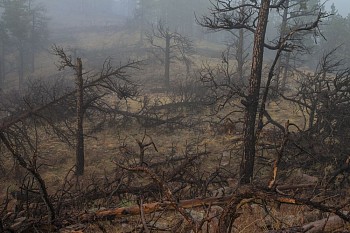 robmar fire