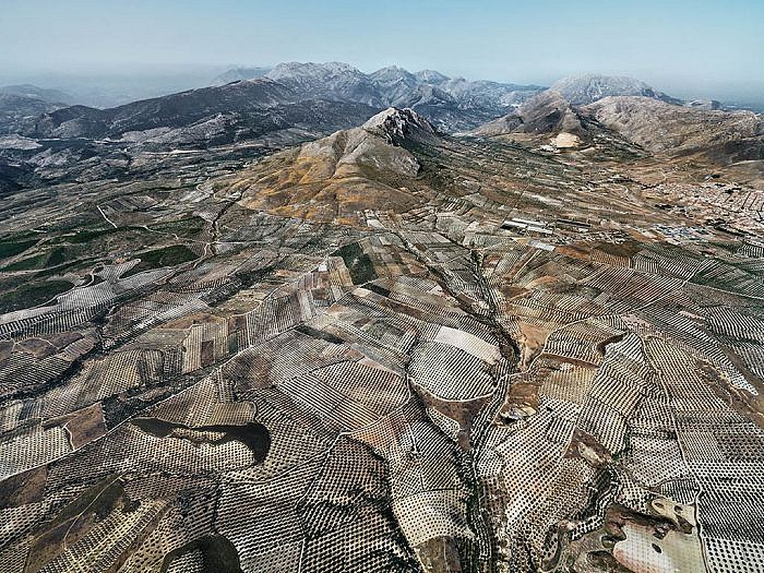 EDWARD BURTYNSKY, OLIVE GROVES #2, JAEN, SPAIN 1/6
chromogenic print