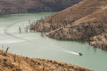 forsman drought hard seasons