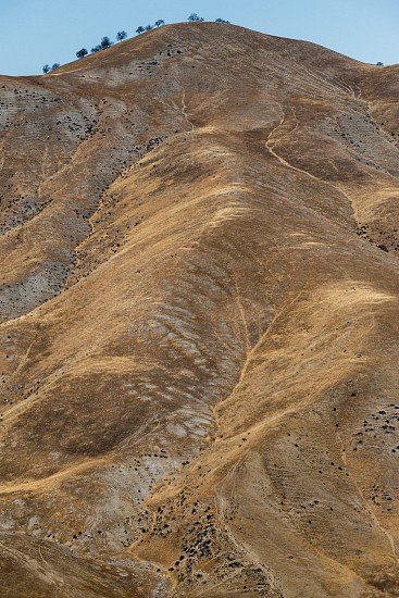 CHUCK FORSMAN, HARD SEASONS: DROUGHT
pigment ink on rag paper