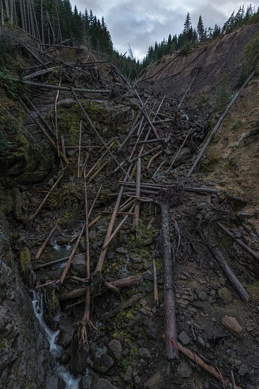 CHUCK FORSMAN, HARD SEASONS: FLOOD
pigment ink on rag paper