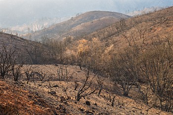 forsman fire hard seasons 2