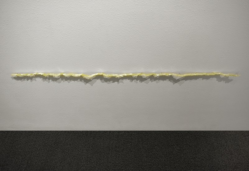 KATY STONE, Transmission (electric line)
hand-cut lenticular film, spray paint on Duralar, pins