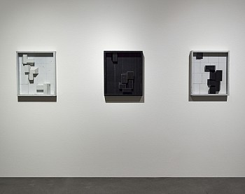 Ted Larsen Robischon Gallery installation