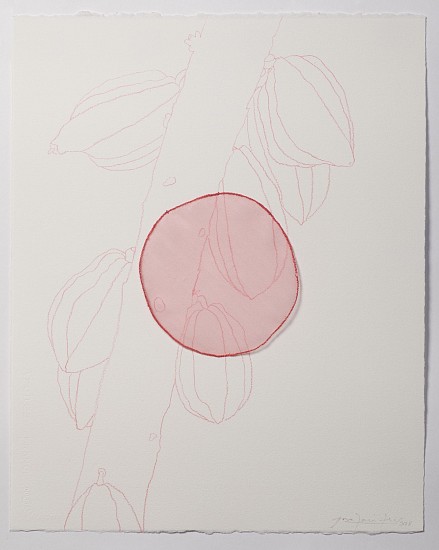 ANA MARIA HERNANDO, THEOBROMA CACAO“No nos ven, pero aquí estamos”
color pencil & organza on paper