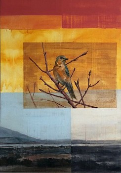 judd the invisible line