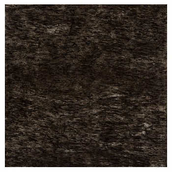 wiersma erin transect 32 kpbs western interior seaway 3 23 2018 2018 char on paper 26in x 26in
