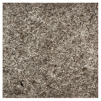 wiersma erin transect 38 1b+2b shale seabed 3 24 2018 2018 char on paper 26in x 26in