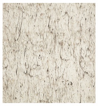 wiersma erin transect 240 spa kkp 5 7 2018 2018 char on paper 48in x 45in