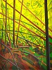 CLAIRE SHERMAN, UNDERBRUSH  11/30
color lithograph