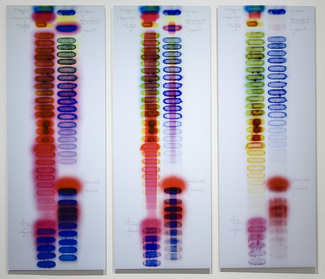 JAQ CHARTIER, SUNTEST #3 (Day 1, 12, 35) Ed. 3
dye sublimation on aluminum