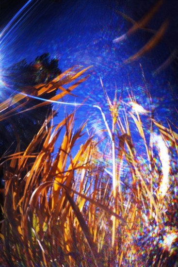 DAVID SHARPE, SOUTH PARK 19
pinhole digital pigment print