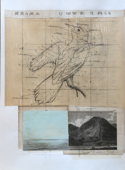 TOM JUDD, BIRD EXPLAINED #2
mixed media and collage