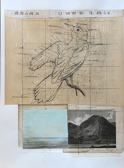 TOM JUDD, BIRD EXPLAINED #2
mixed media and collage