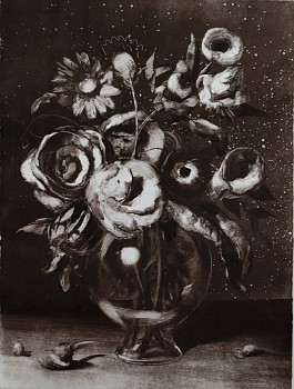 still life