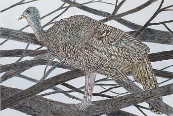 in a bower image only