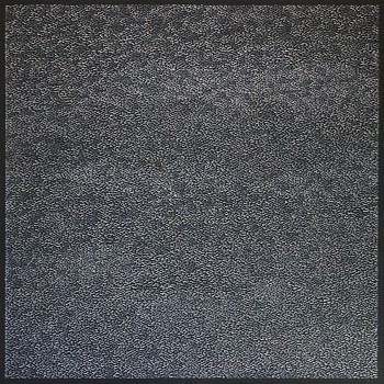 dillo 2667