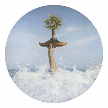 bonsai