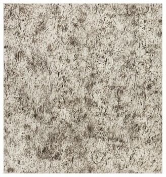 wiersma erin transect 2019 119 2c west 2019 char on paper 48in x 45in