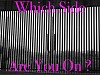 MICHAEL BERMAN, WHICH SIDE ARE YOU ON