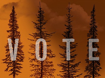 BUMILLERT PoliticalSign Trees
