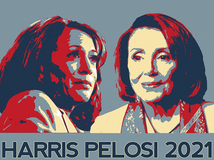 LISA STEFANELLI, HARRIS PELOSI 2020
ink jet print