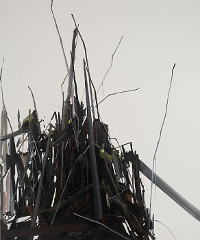 13lg18pile of twigs.78x66inches