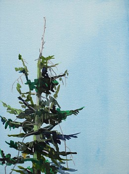 17dr12tree.sm