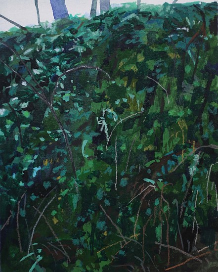 CLAIRE SHERMAN, MOSS AND FERNS
mixed media on paper