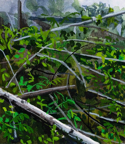 CLAIRE SHERMAN, BRANCHES
mixed media on paper