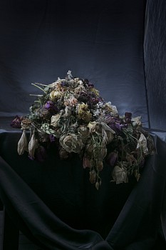 may 04 2020 228pm