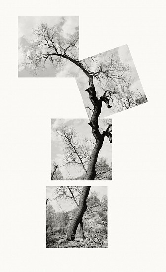 MICHAEL BERMAN, COTTONWOOD MILLER FIRE
pigment print on Kozo paper