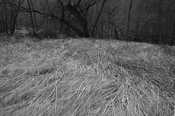 2016 ssluis 02 28 16 l1009662 perdido sierra san luis border chihuahua mexico landscape michael berman