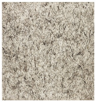 wiersma erin transect 2019 134 spa underfoot 2019 char on paper 48in x 45in