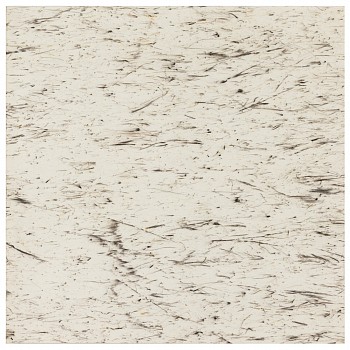 wiersma erin transect 2019 134 spa inland sea 2019 char on paper 26in x 26in