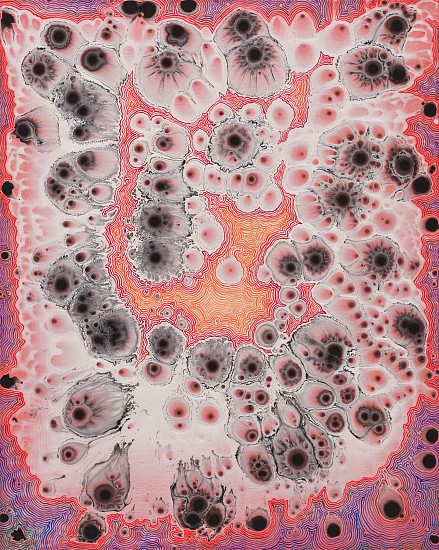 BARBARA TAKENAGA, FLOATERS (pink)
acrylic on linen