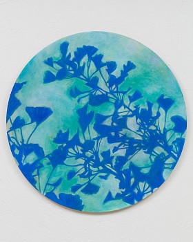 bumiller gingko 24x24.jpeg